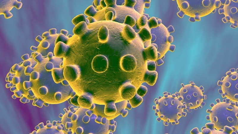 Consejos de la Organización Mundial de la Salud sobre Coronavirus y consumo de agua de boca